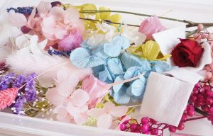 ハーバリウム花材の選び方